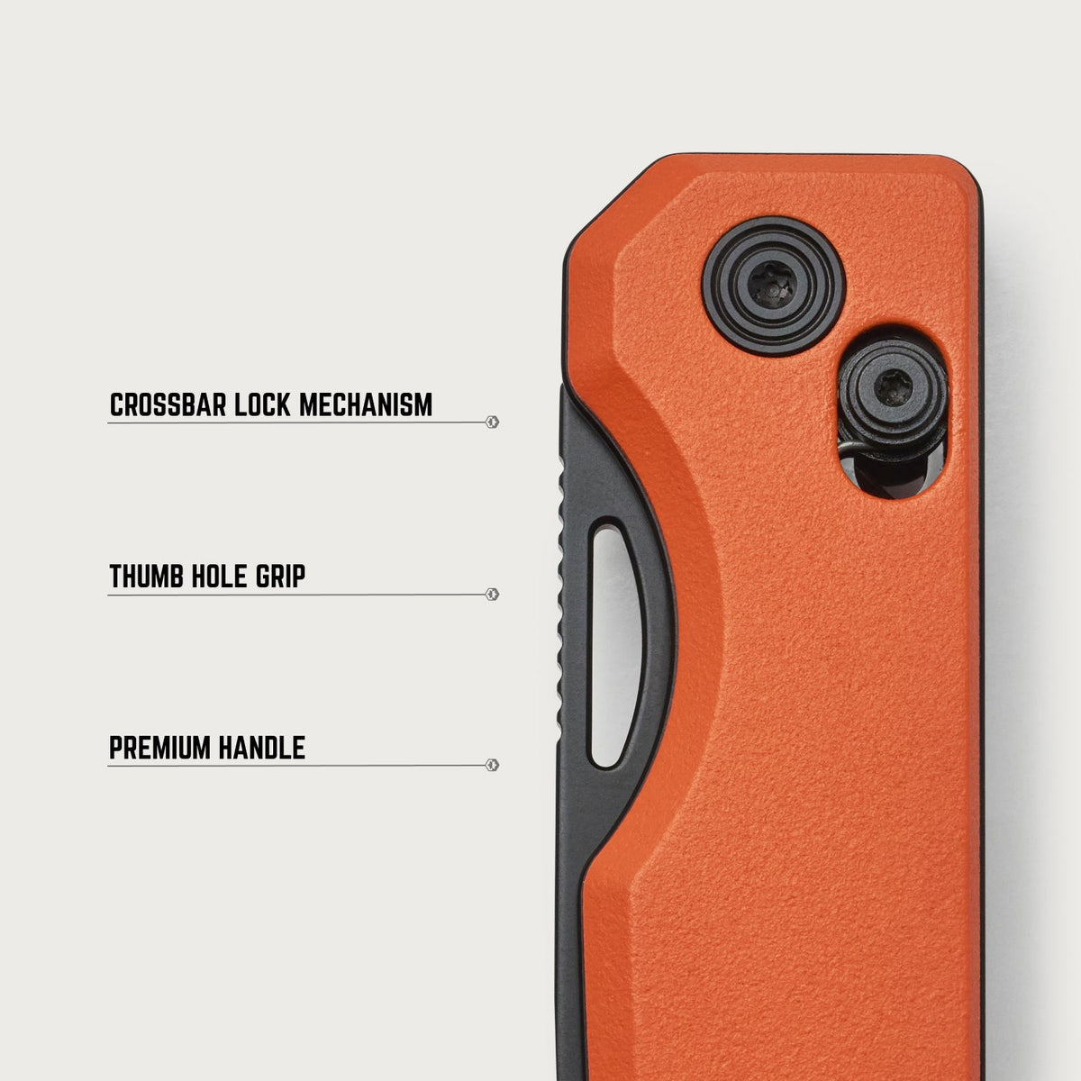 Everyday Folder - Traditional Flash - Color